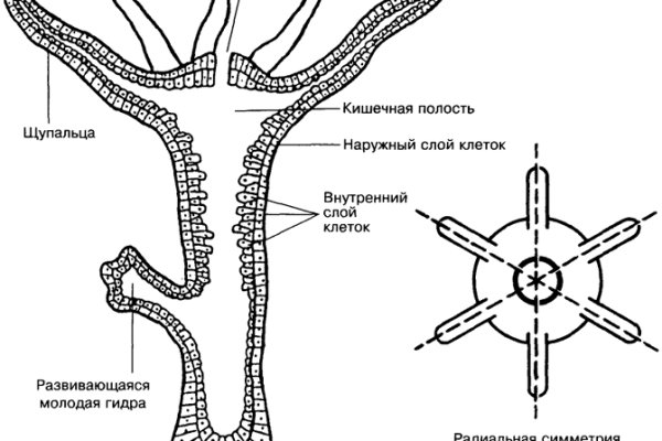 Как пройти капчу в блэк спрут