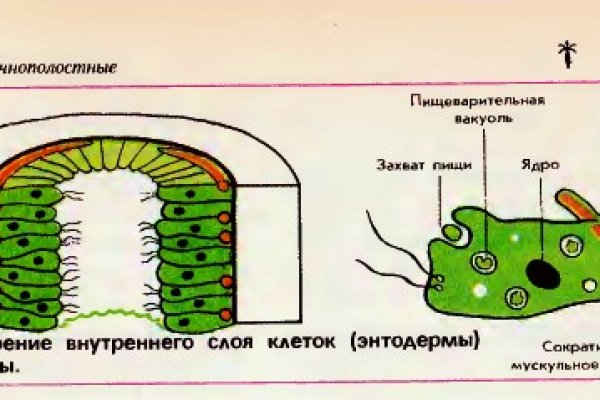 Как вводить капчу на блэк спрут