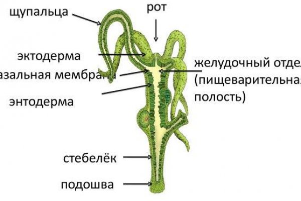 Зеркала blacksprut blacksprut adress com