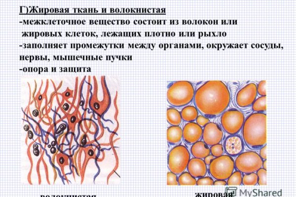 Bs2web