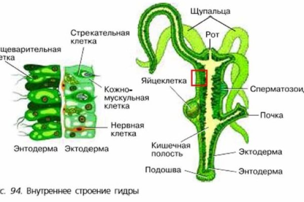 Как зайти на блэкспрут рабочее зеркало даркнет